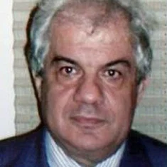 Hani Metawea