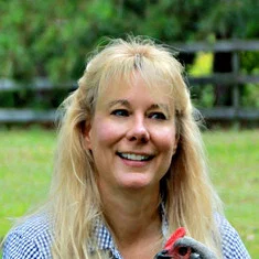 Lisa Steele