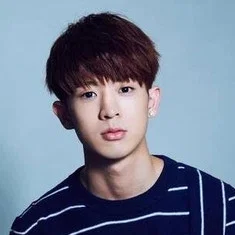Lin Ting Han