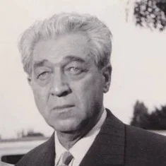 Nicolae Sireteanu