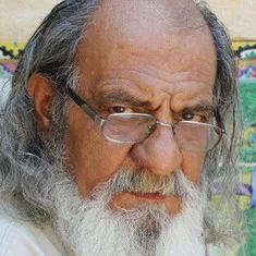 Nader Shahsavari