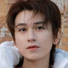 Zhu Zanjin