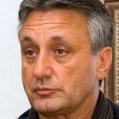 Владимир Алеников