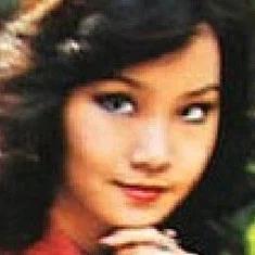 Yang Xin