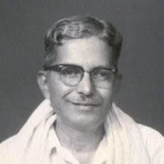 N. S. Narayana Pillai