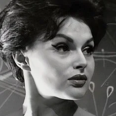 Gudrun Schmidt