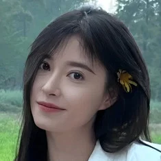 Han Qi