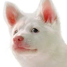 Kori