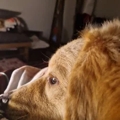 Milo