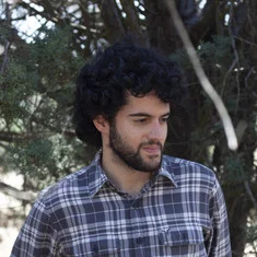 Luis Paul