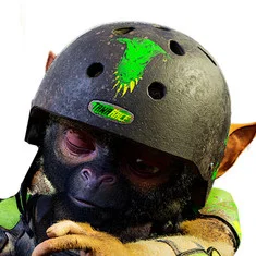 Tim