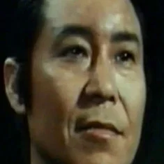 Wang Fei