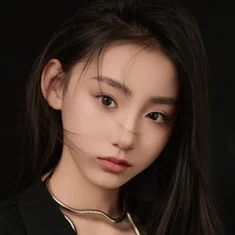 Liu Jiaxi