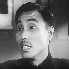 Baoluo Li