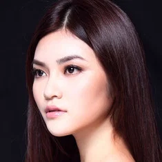Wang Hui