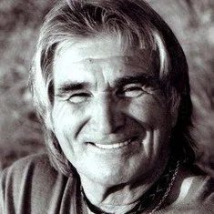 Vojislav Govedarica