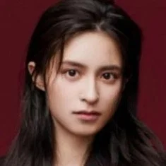 Pan Litong