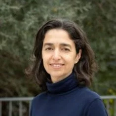 Roni Aboulafia
