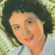 Xiang Mei