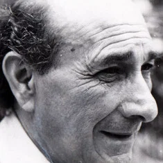 Luis Cornejo