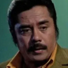 Vic Silayan