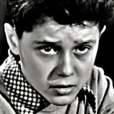 Michel Dumur
