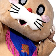 Pokotan