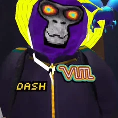 Dash487