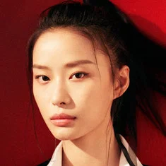 Yang Yuanzhi