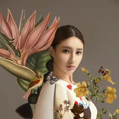 房星彤