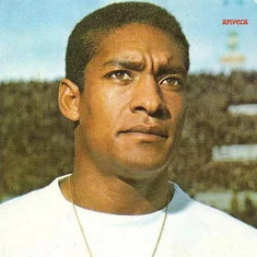 Waldo Machado da Silva