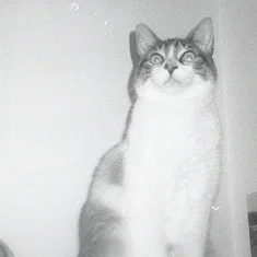 Jones