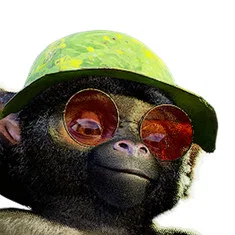 Kev