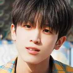 Hu Wenle