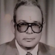 Ali Naguib