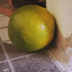 Laranja