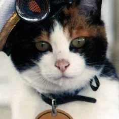 Tama
