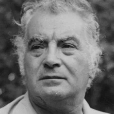 Lucas Demare