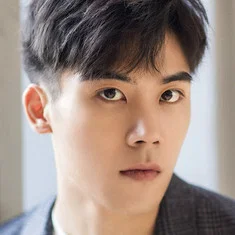 Xu Yanlei