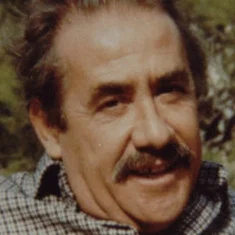 Giannis Negrepontis
