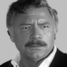 Nikša Stefanini