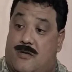سمير عامر