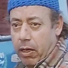 عبدالحميد المنير