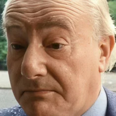 Wim van den Brink