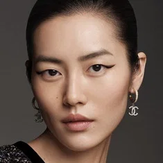 Liu Wen