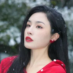 Lin Wenjie