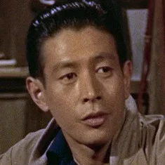 Toshio Nihonyanagi