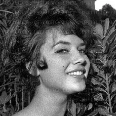Stefania Sabatini