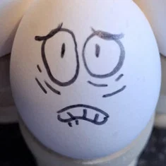 Eggson