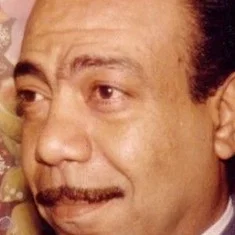 Helmi Shafiq